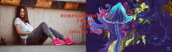 крисы Баксан