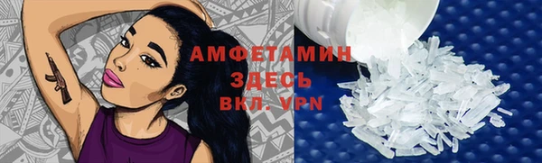 крисы Баксан