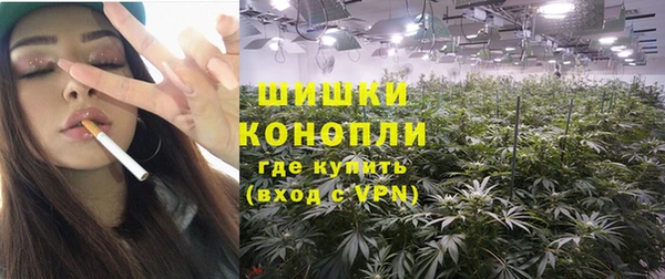 крисы Баксан