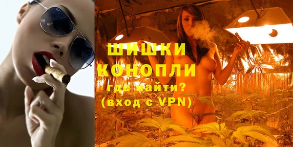 крисы Баксан