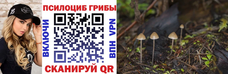MEGA tor Белая Калитва Псилоцибиновые грибы мицелий
